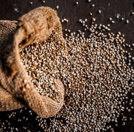 Bajra