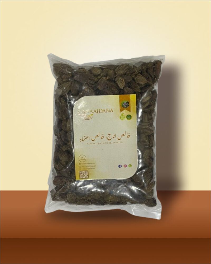 Bari Elaichi